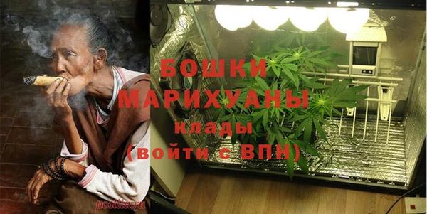 дмт Карпинск