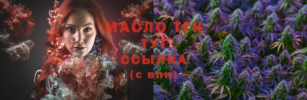 дмт Карпинск