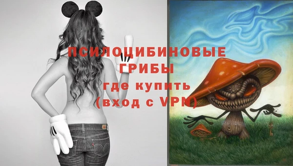 дмт Карпинск