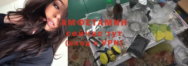 дмт Карпинск