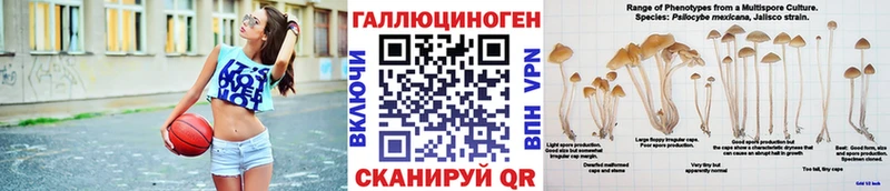 Купить  Нязепетровск  Галлюциногенные грибы Magic Shrooms 